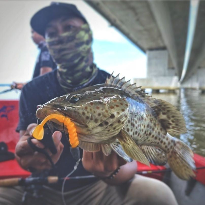 Soft Plastic Strike Bro - Badass Chubby Paddle 2.5" / 3"